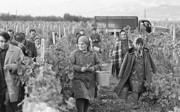 Повседневная жизнь в советской Грузии 1976 года в фотографиях шведского фотографа Повседневная жизнь в советской Грузии 1976 года в фотографиях шведского фотографа