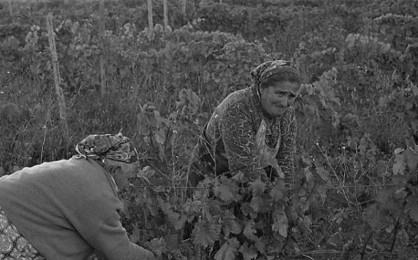 Повседневная жизнь в советской Грузии 1976 года в фотографиях шведского фотографа Повседневная жизнь в советской Грузии 1976 года в фотографиях шведского фотографа