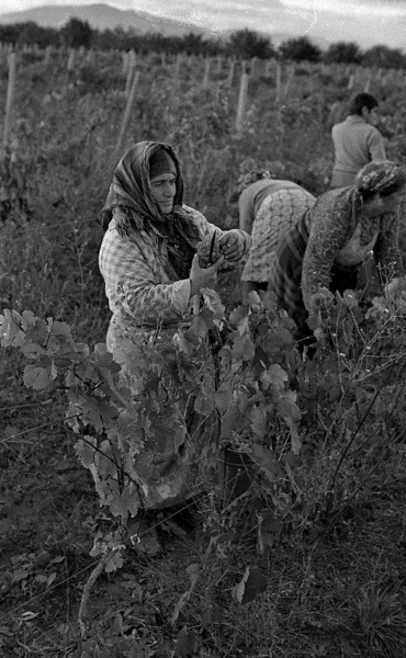 Повседневная жизнь в советской Грузии 1976 года в фотографиях шведского фотографа Повседневная жизнь в советской Грузии 1976 года в фотографиях шведского фотографа